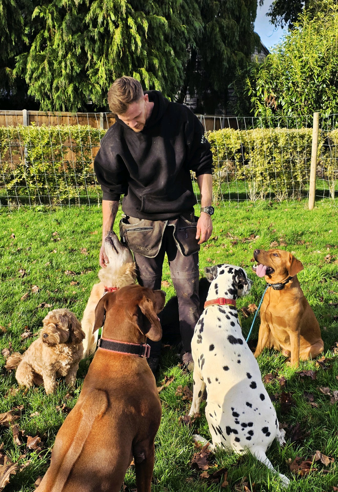 Josh with a group of dogs