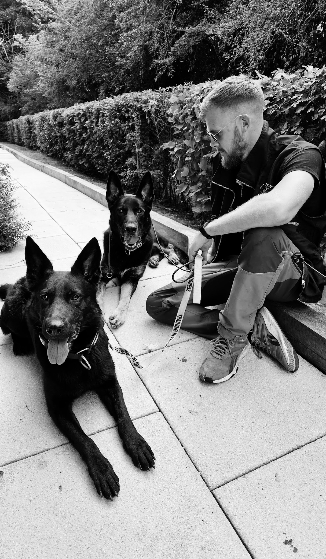 Josh Brand with dogs