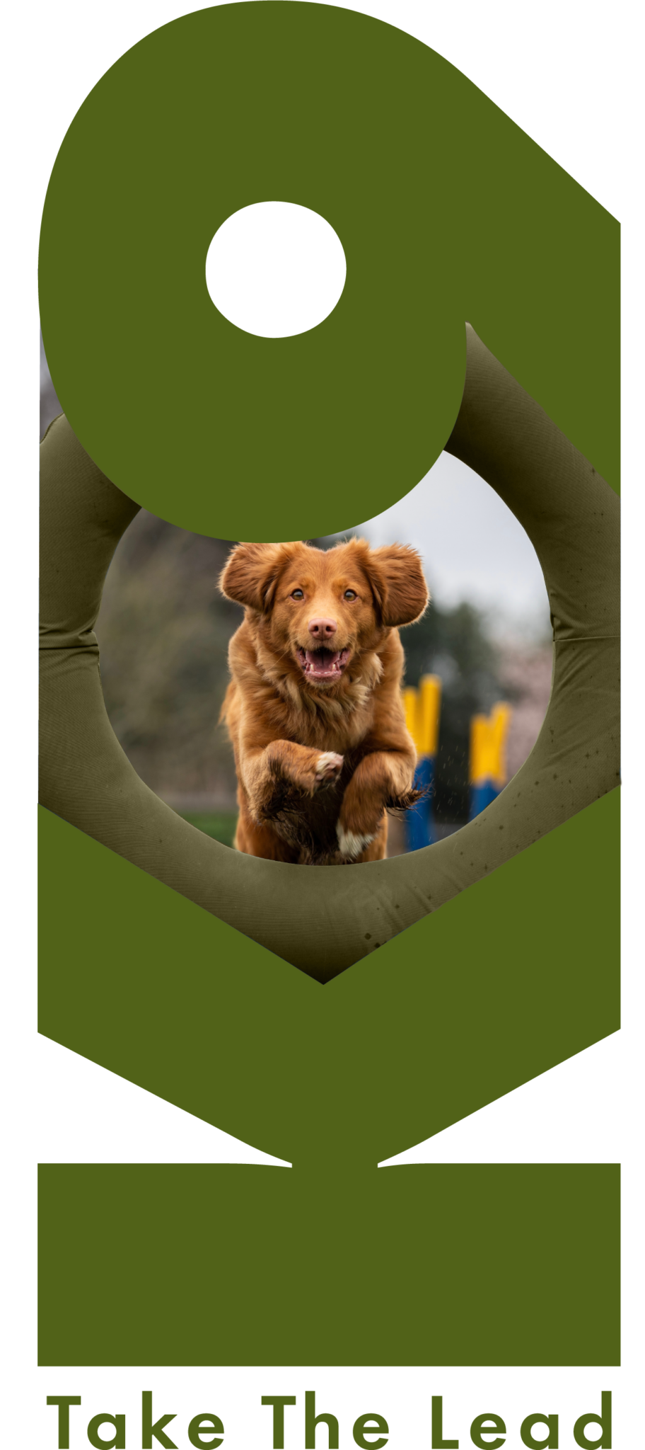 Brand K9 Dog Training Braintree Essex