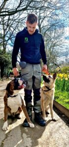 Dog trainer essex. Sunny Background 2 cute dogs