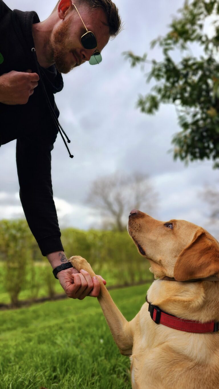 A cute dog in the essex woods that is obedient, with a dog trainer