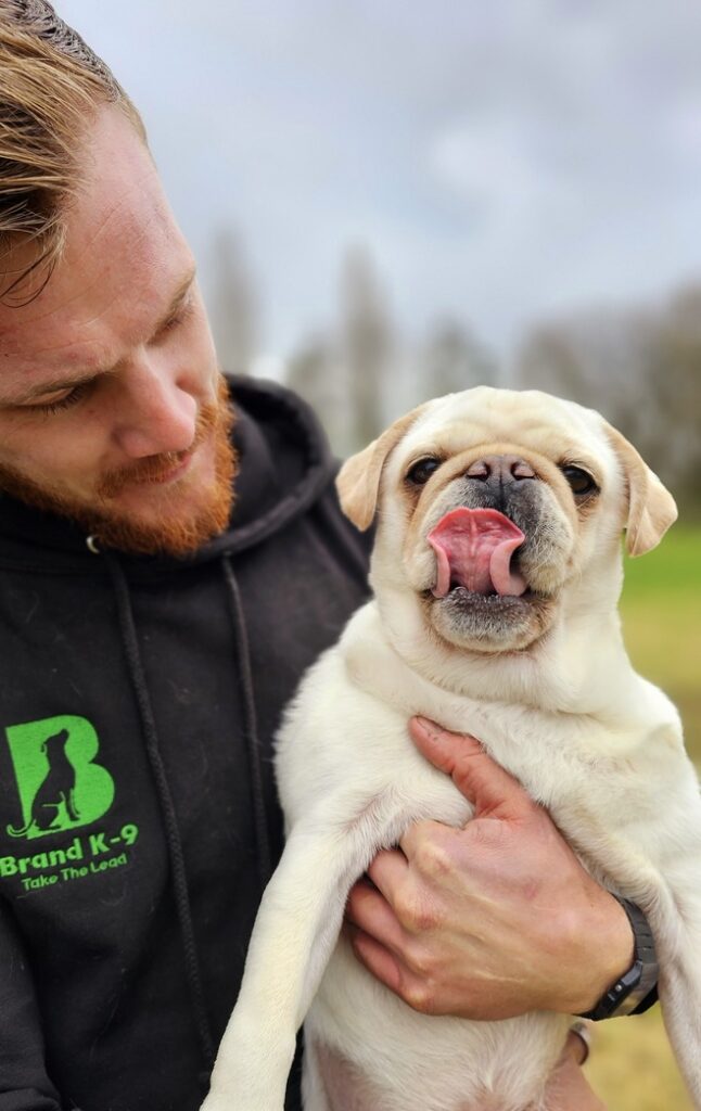 A cute dog in the essex woods that is obedient