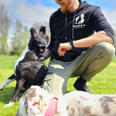 The First 5 Commands Every Puppy Should Learn (With Step-by-Step Guide)